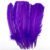Purple 03