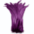 Purple 03