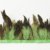 Fruit Green 04