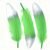 Fruit Green 04