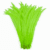 Fruit Green 04