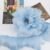 Sky Blue 43