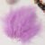 Light Purple 46
