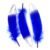 Royal Blue 05