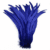 Royal Blue 05
