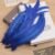 Royal Blue 05