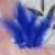 Royal Blue 05