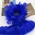 Royal Blue 05