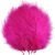 Rose Red 006