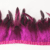Rose Red 006