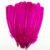 Rose Red 006