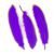 9 Gold powder Purple
