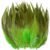 Fruit Green 04
