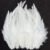 White 13