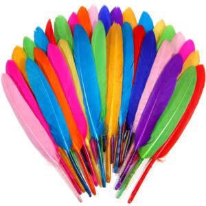 100/200 Mixed-Color Goose Quill Feathers (Cochettes) — 4–6 Inches (10–15 cm) — Bulk Natural Feathers, Ideal for Weddings, Halloween Decor, DIY Crafts, Cosplay, Gothic Attire, and Various Crafting Projects.