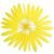 Yellow 02
