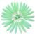 Mint Green 21