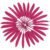 Deep Rose Red 29