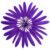 Purple 03