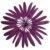 Dark Purple 33