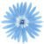 Sky Blue 43