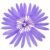 Light Purple 46