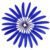 Royal Blue 05